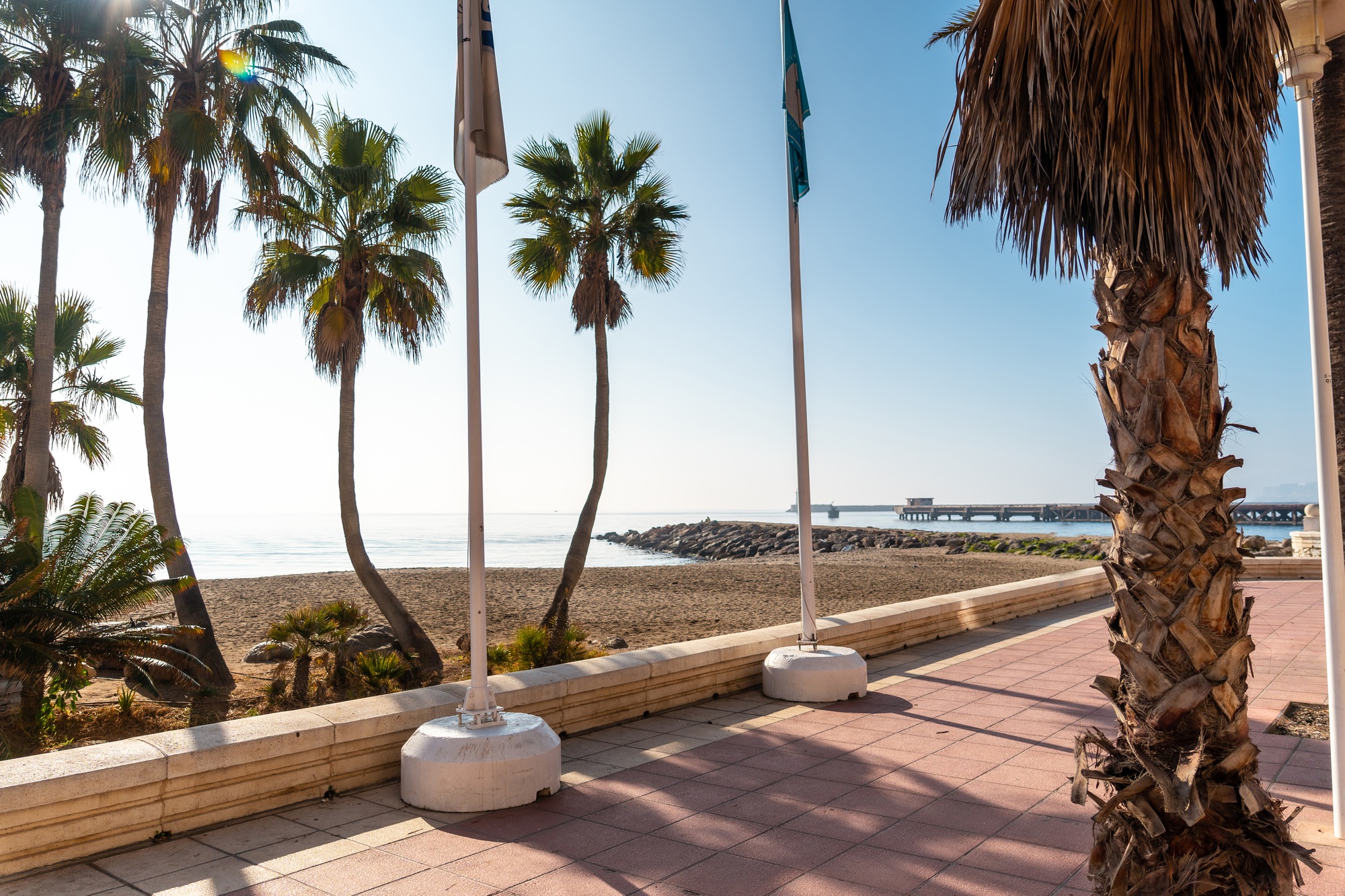 Palm trees on the Playa de San Miguel in the city of Almeria, Andalucia. Spain